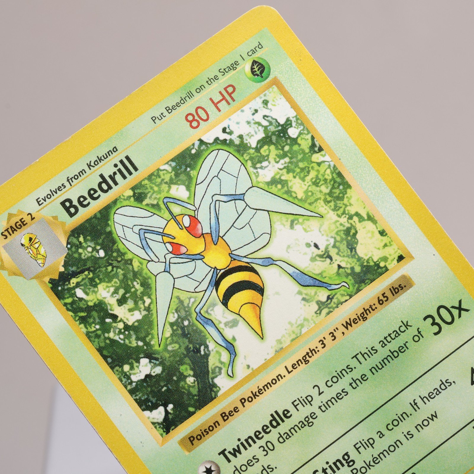 Pokemon TCG Beedrill 17102 Base Set Rare Shadowless WOTC 1999 EXC 168006227450