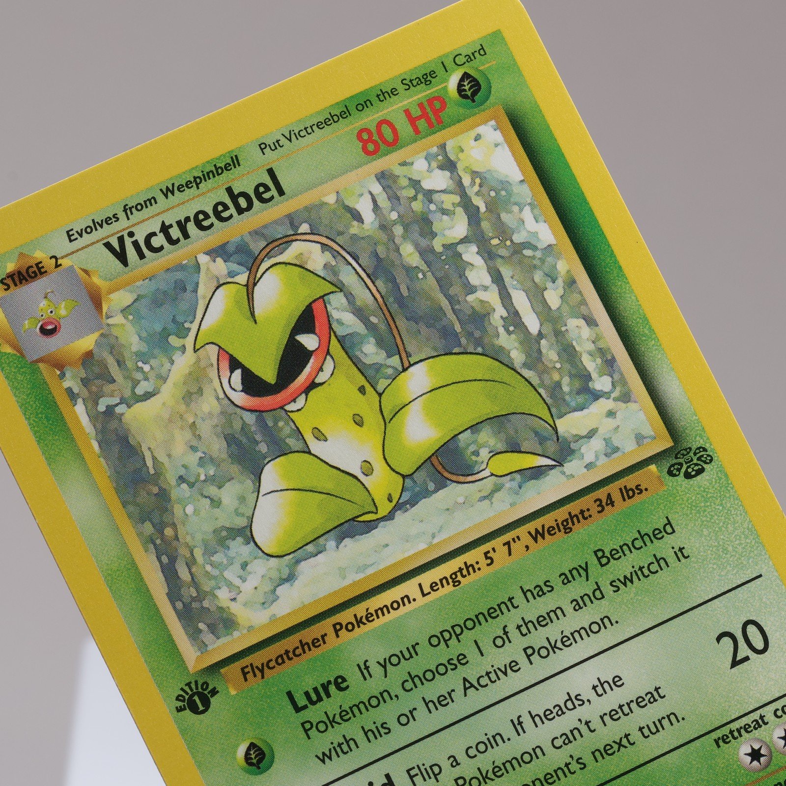 Pokemon TCG Victreebel 3064 Jungle Rare 1st Edition WOTC 1999 EXC 167950659110