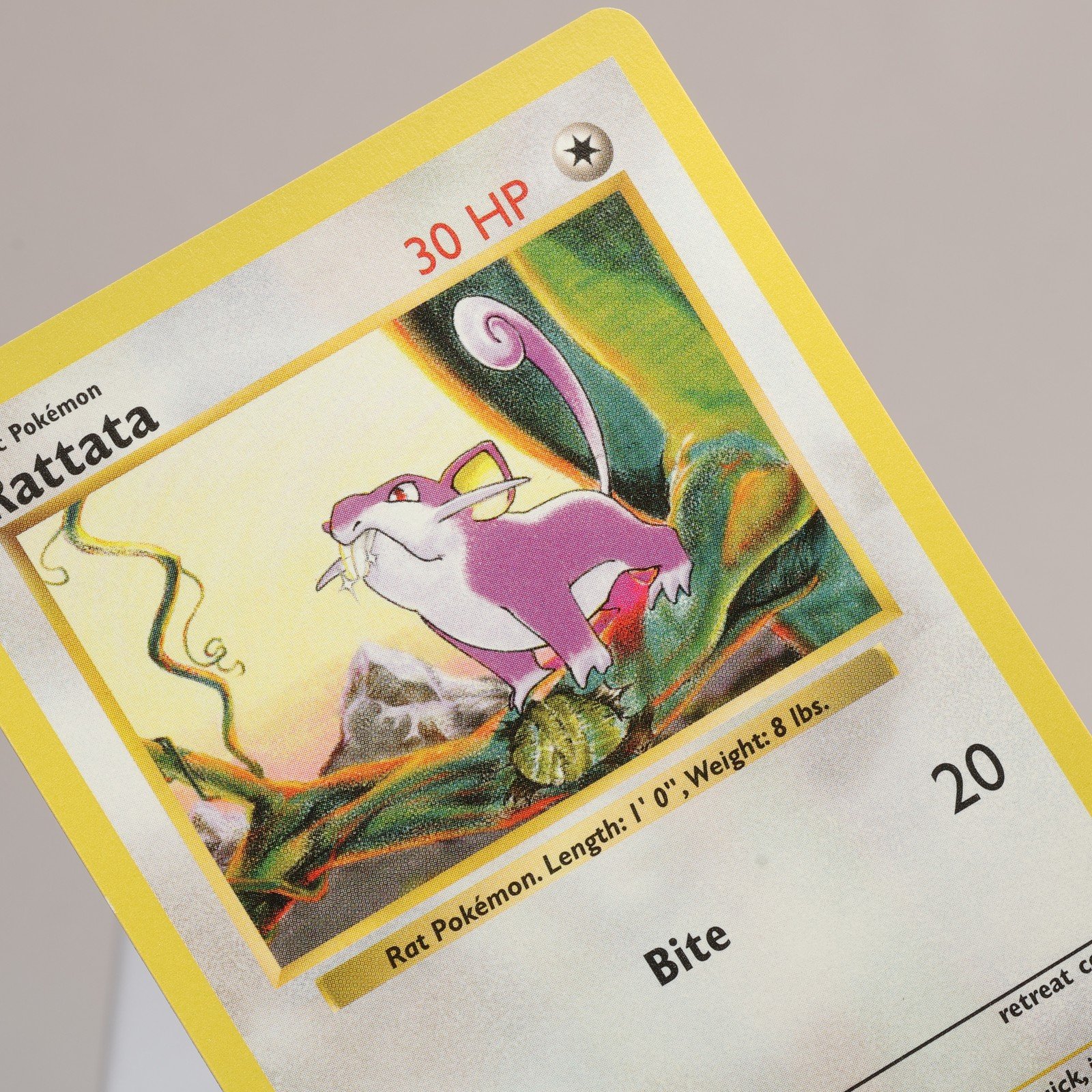 Pokemon TCG Rattata 61102 Base Set Common Shadowless WOTC 1999 EXCNM 168006227451