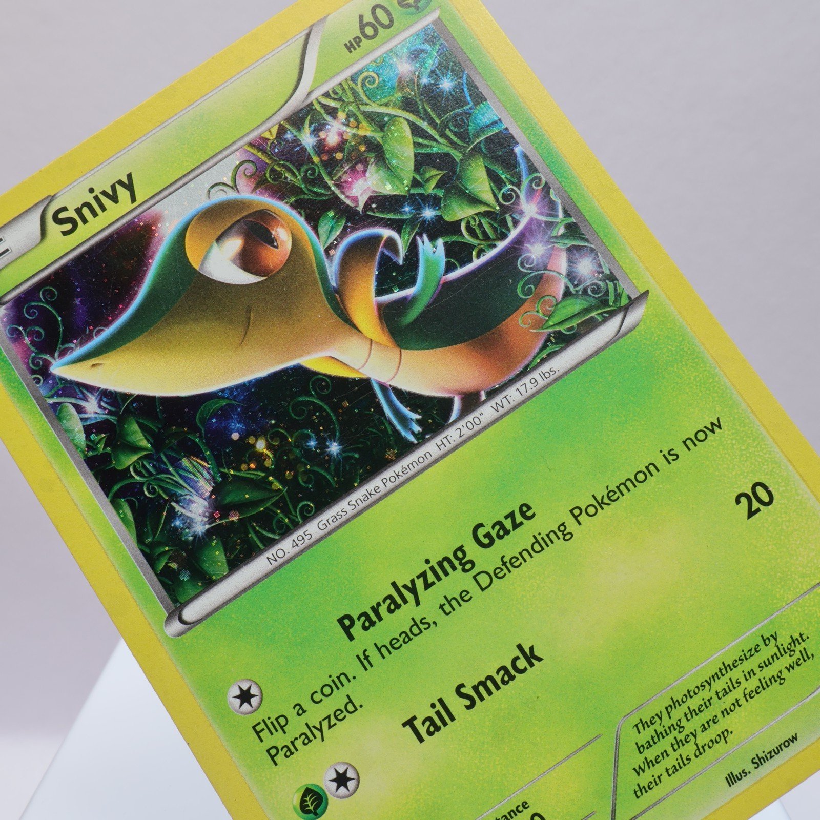 Pokemon TCG – Snivy BW06 BW Black Star Promo Black & White – EXC