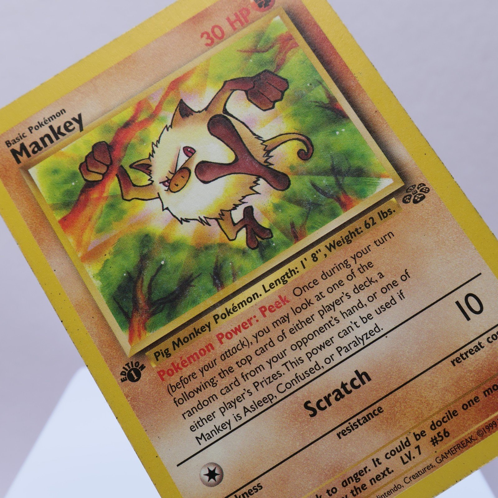 Pokemon TCG – Mankey 55/64 Jungle Common 1st Edition WOTC 1999 – PL