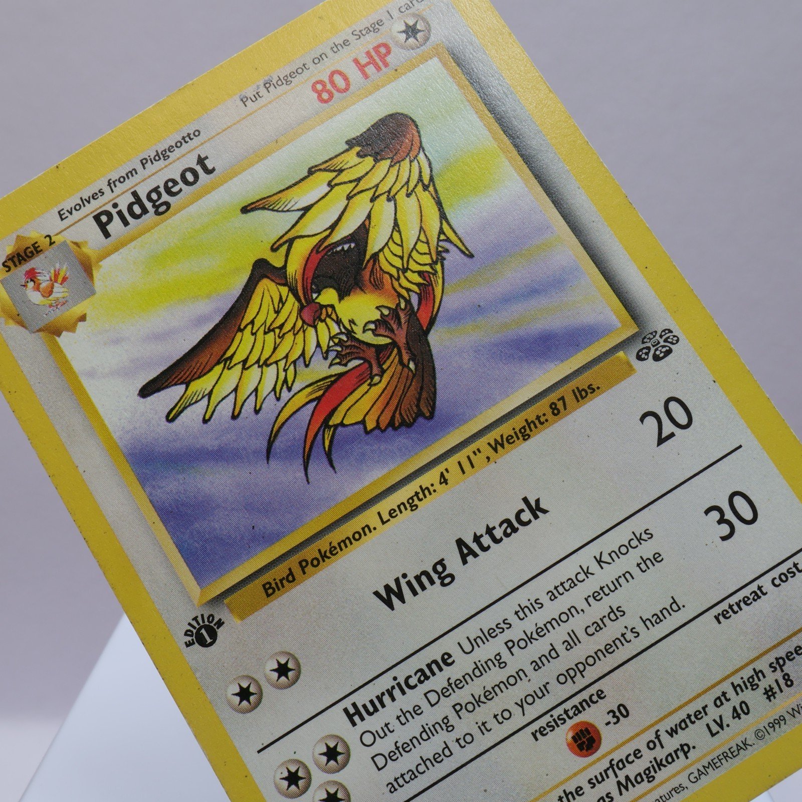 Pokemon TCG – Pidgeot 24/64 Jungle Rare 1st Edition WOTC 1999
