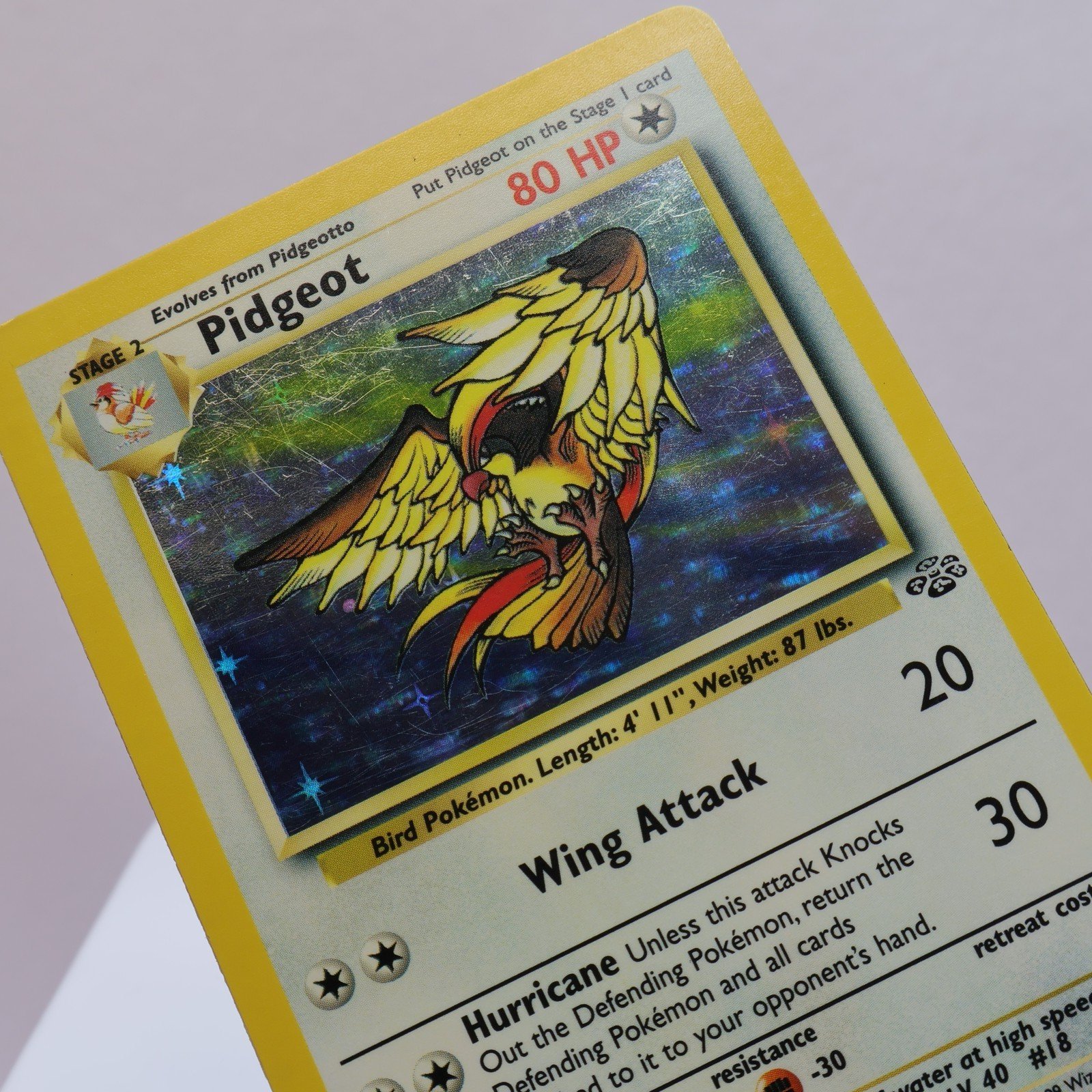 Pokemon TCG Pidgeot 864 Jungle Holo Rare WOTC 1999 LP 167830364533