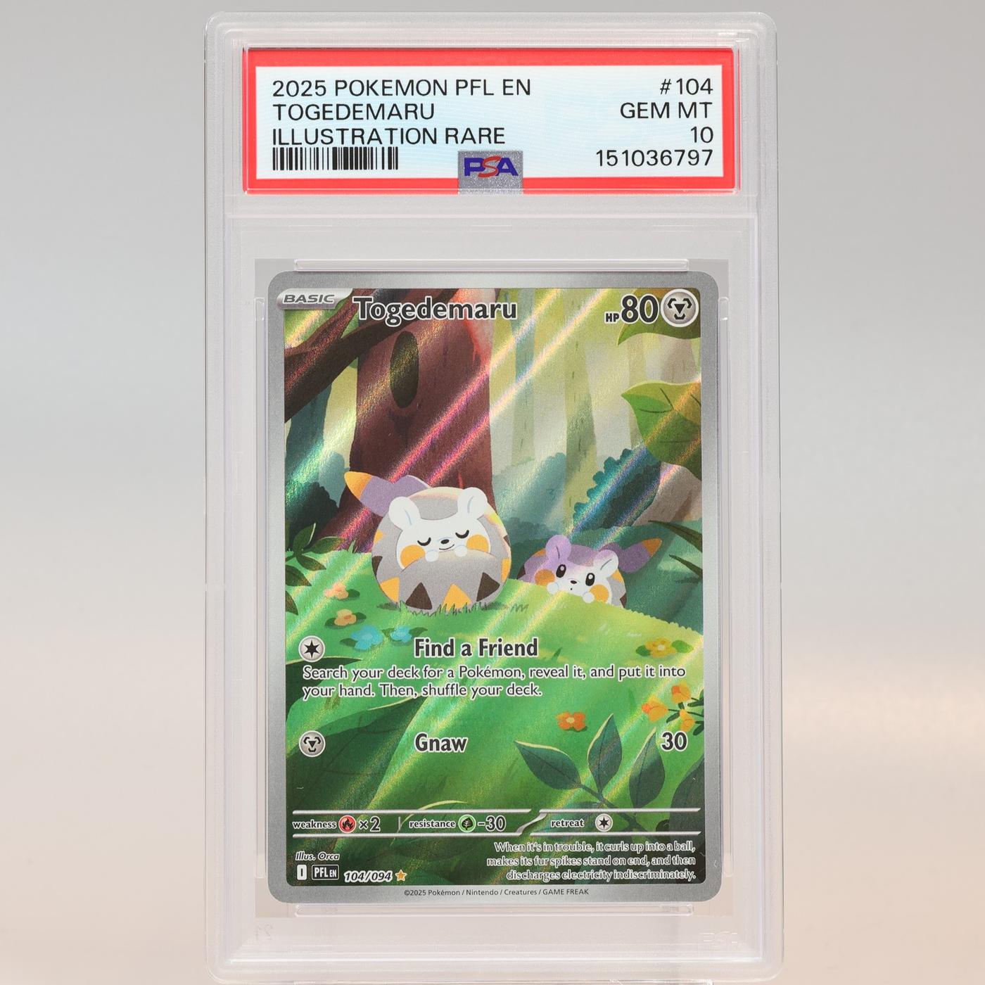 Pokemon TCG Togedemaru 104094 IR Phantasmal Flames PSA 10 GEM MT 168441076163 2