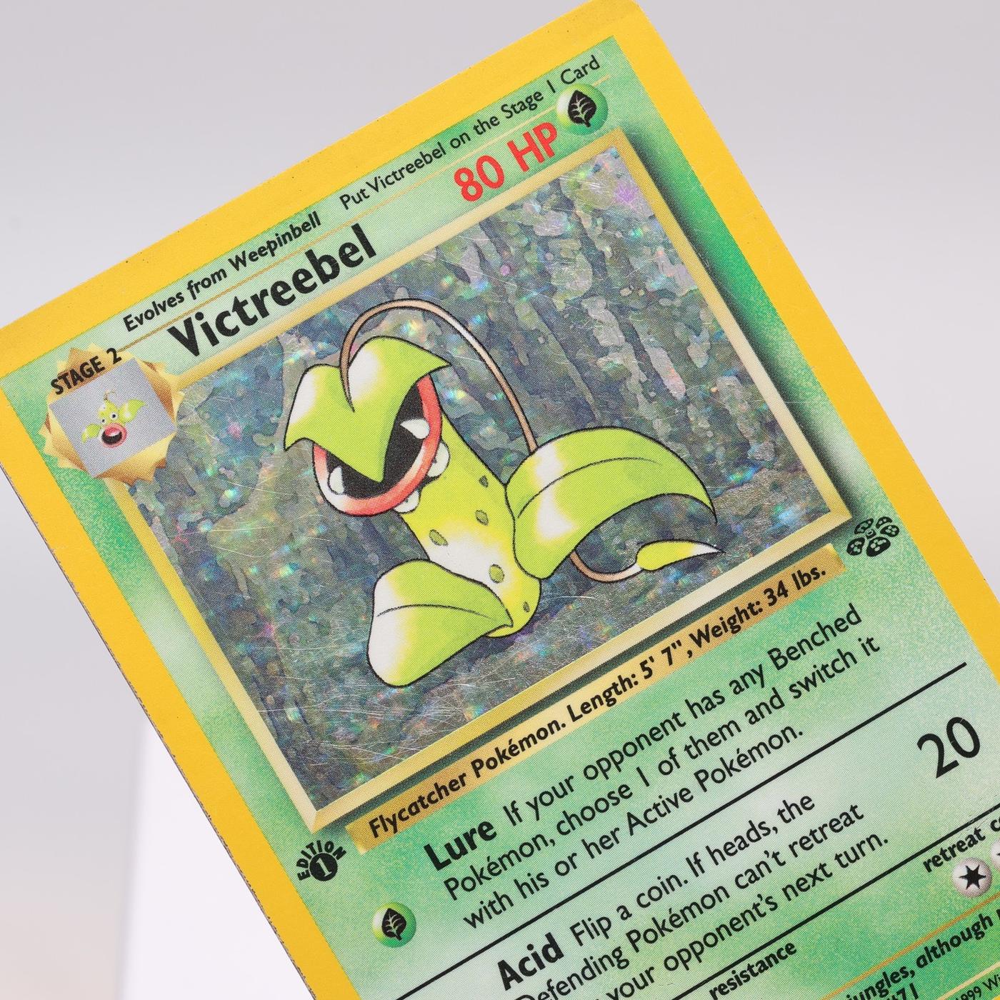 Pokemon TCG Victreebel 1464 Jungle Holo Rare 1st Edition WOTC PL 168421188133