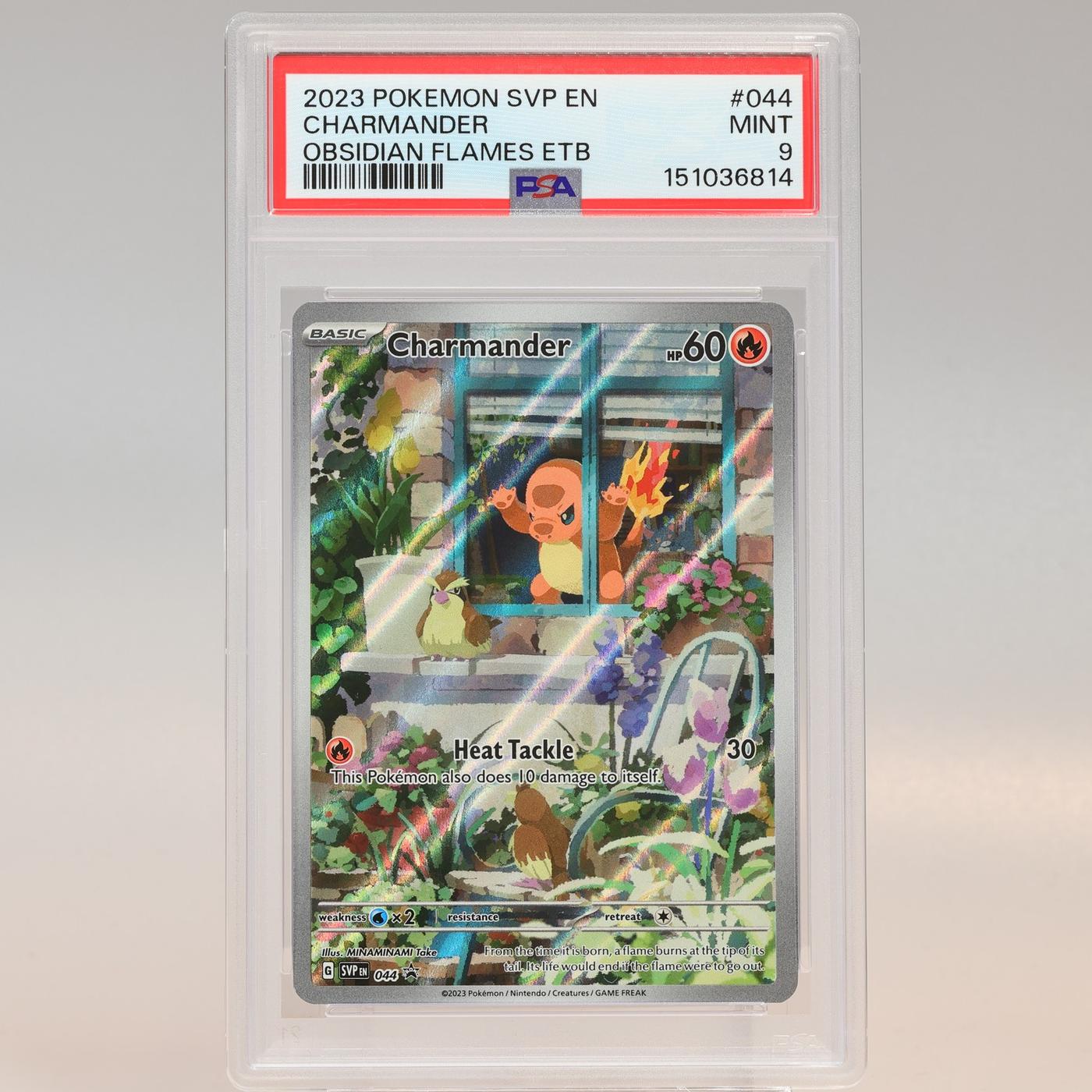 Pokemon TCG Charmander Black Star Promo SVP 044 Obsidian Flames PSA 9 MINT 168441076124 2