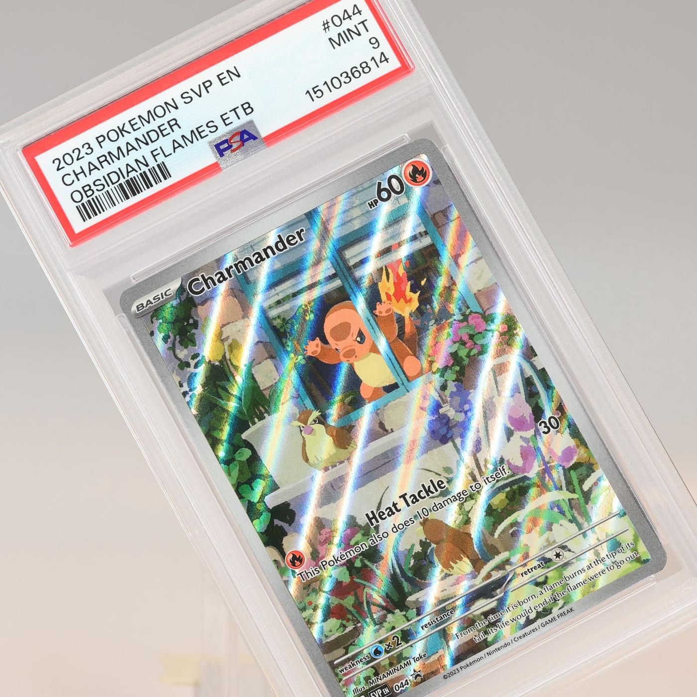 Pokemon TCG Charmander Black Star Promo SVP 044 Obsidian Flames PSA 9 MINT 168441076124