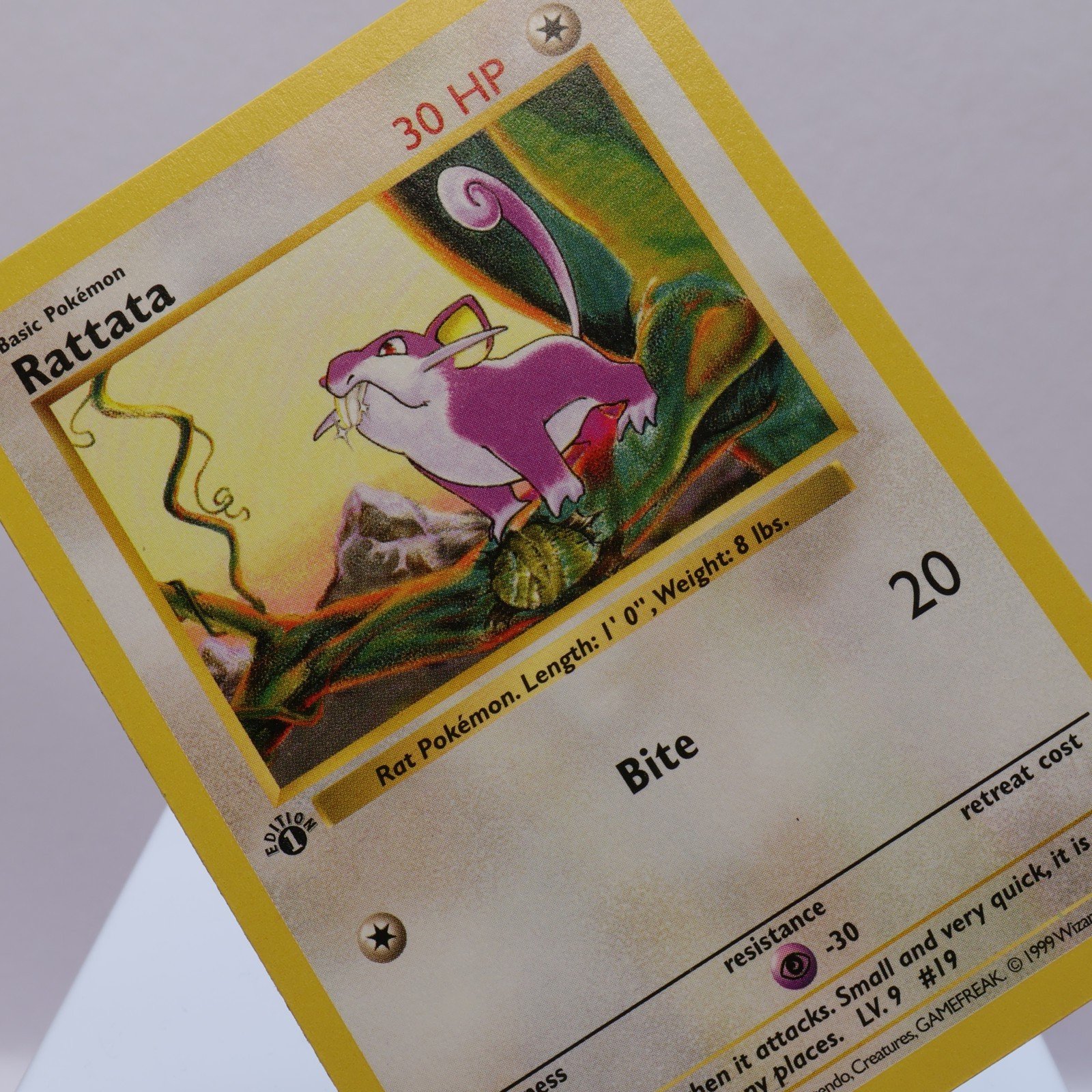 Pokemon TCG – Rattata 61/102 Base Set Common 1st Edition WOTC 1999 – NM