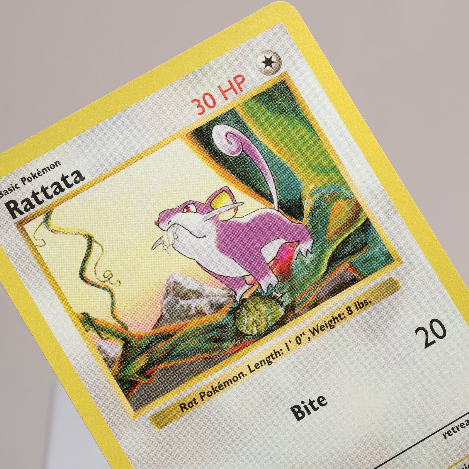 Pokemon TCG – Rattata 61/102 Base Set Common Shadowless WOTC 1999 – EXC