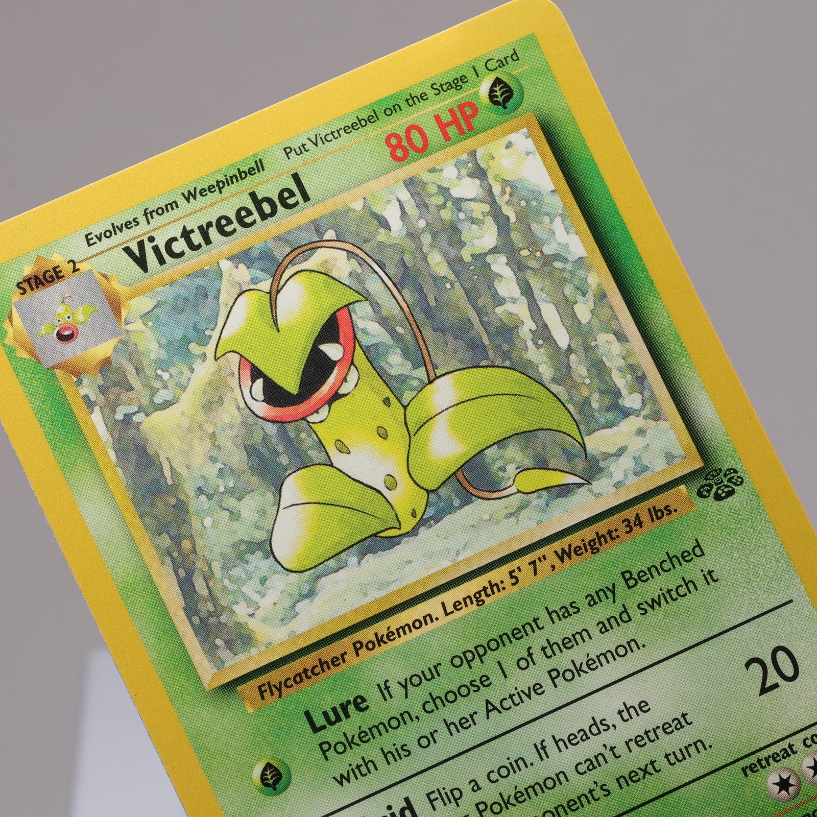 Pokemon TCG Victreebel 3064 Jungle Rare WOTC 1999 NM Indent 167974214014
