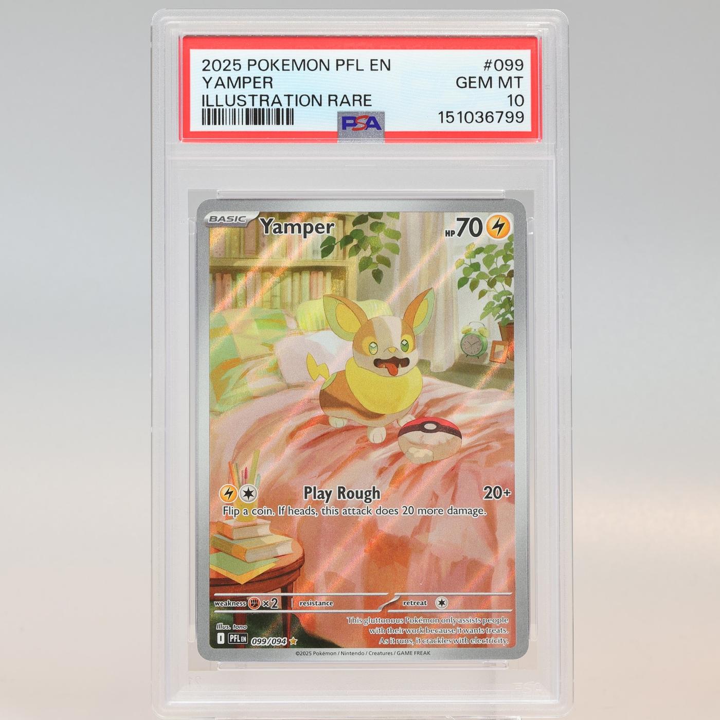 Pokemon TCG Yamper 099094 IR Phantasmal Flames PSA 10 GEM MT 168441076164 2