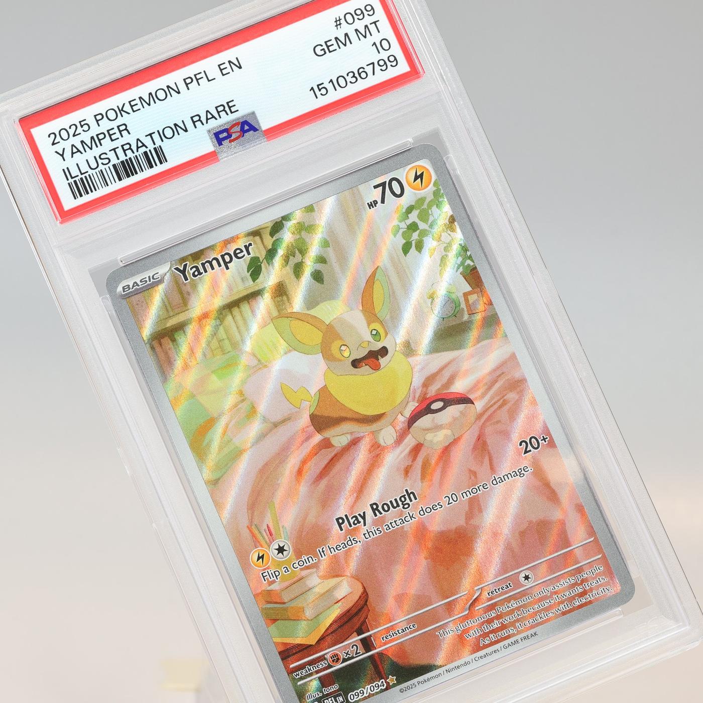 Pokemon TCG Yamper 099094 IR Phantasmal Flames PSA 10 GEM MT 168441076164