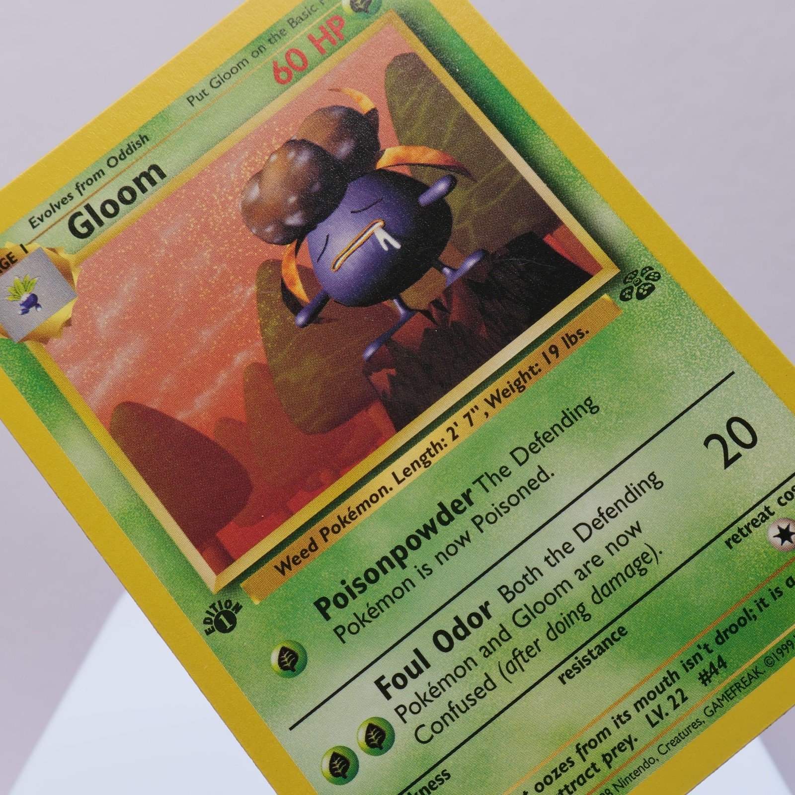 Pokemon TCG – Gloom 37/64 Jungle Uncommon 1st Edition WOTC 1999 – EXC