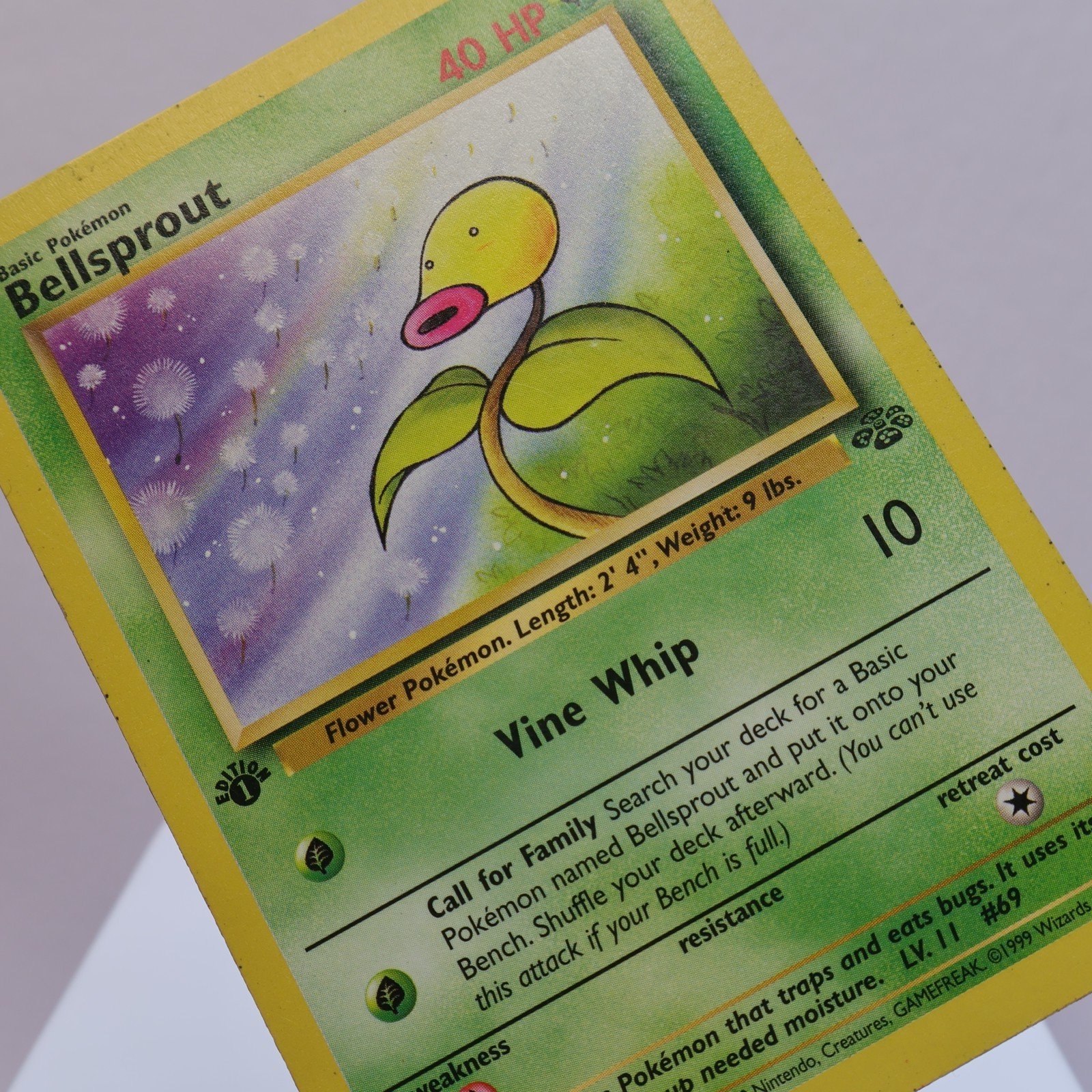 Pokemon TCG – Bellsprout 49/64 Jungle Common 1st Edition WOTC 1999 – PL