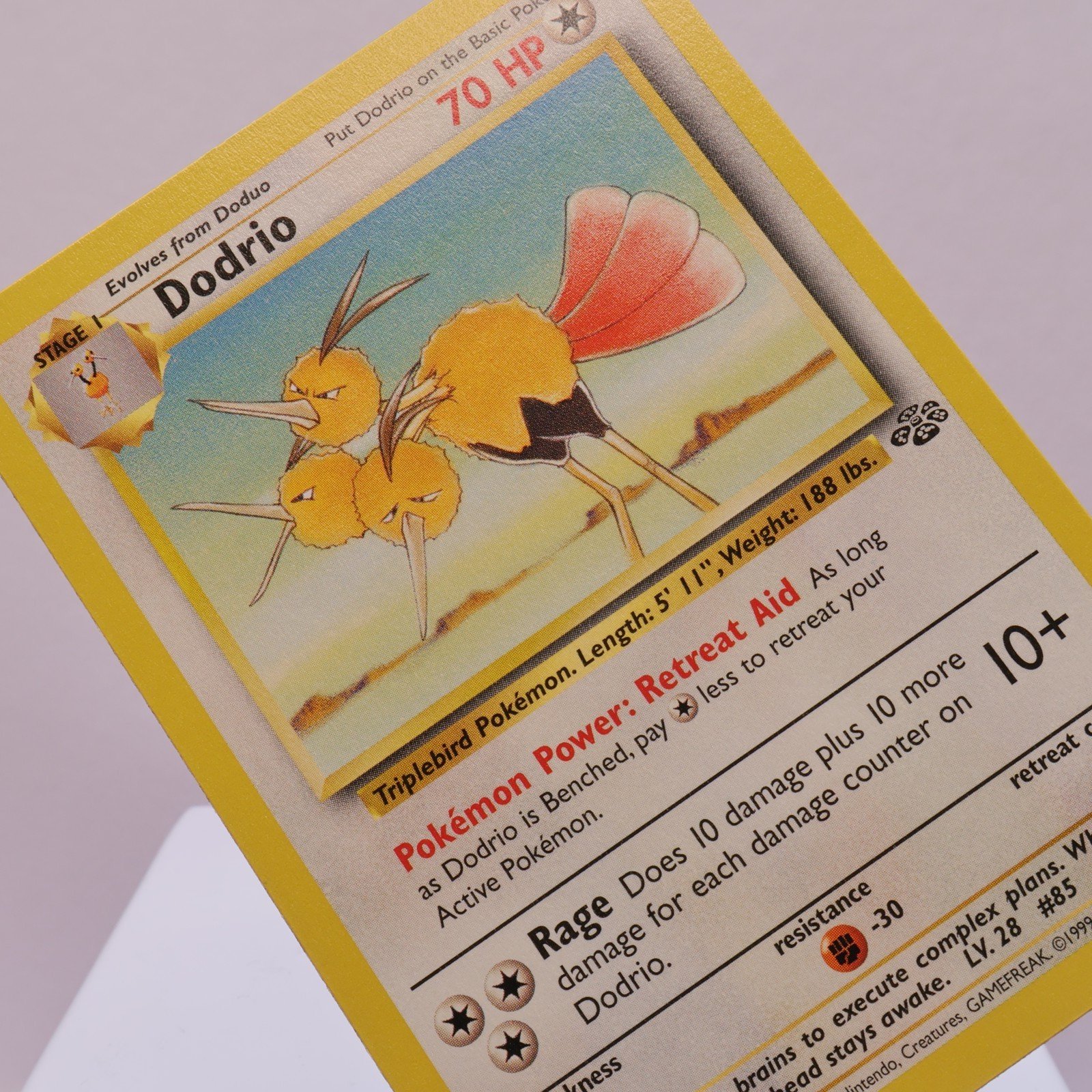 Pokemon TCG – Dodrio 34/64 Jungle Uncommon  WOTC – NM/M