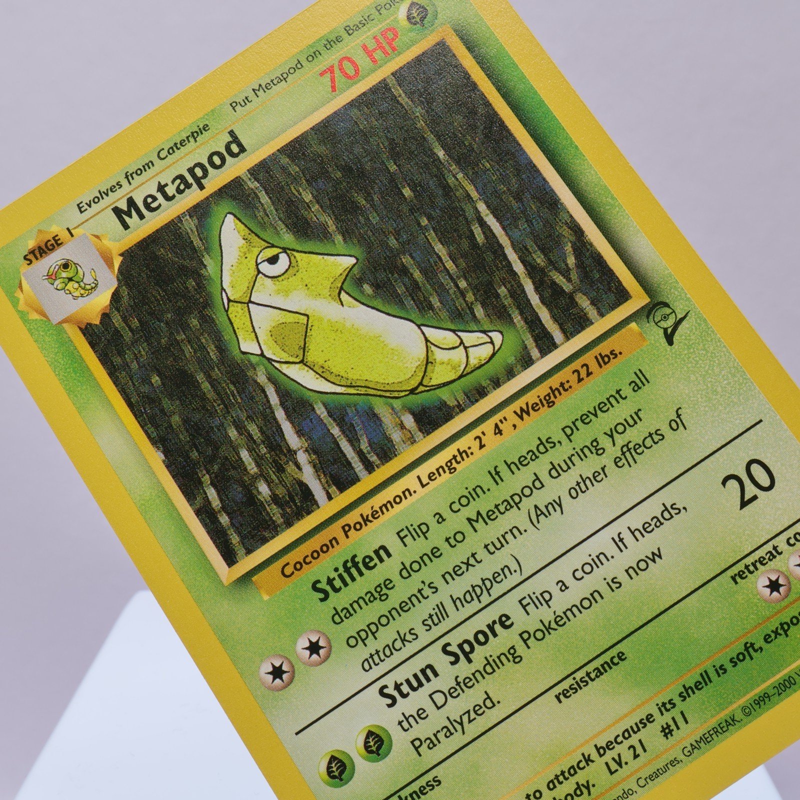Pokemon TCG – Metapod 81/130 Base Set 2 Common  WOTC – NM/M