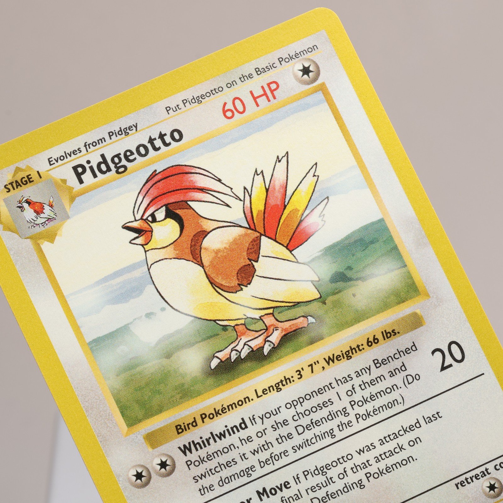 Pokemon TCG Pidgeotto 22102 Base Set Rare Shadowless WOTC 1999 EXCNM 168006227396