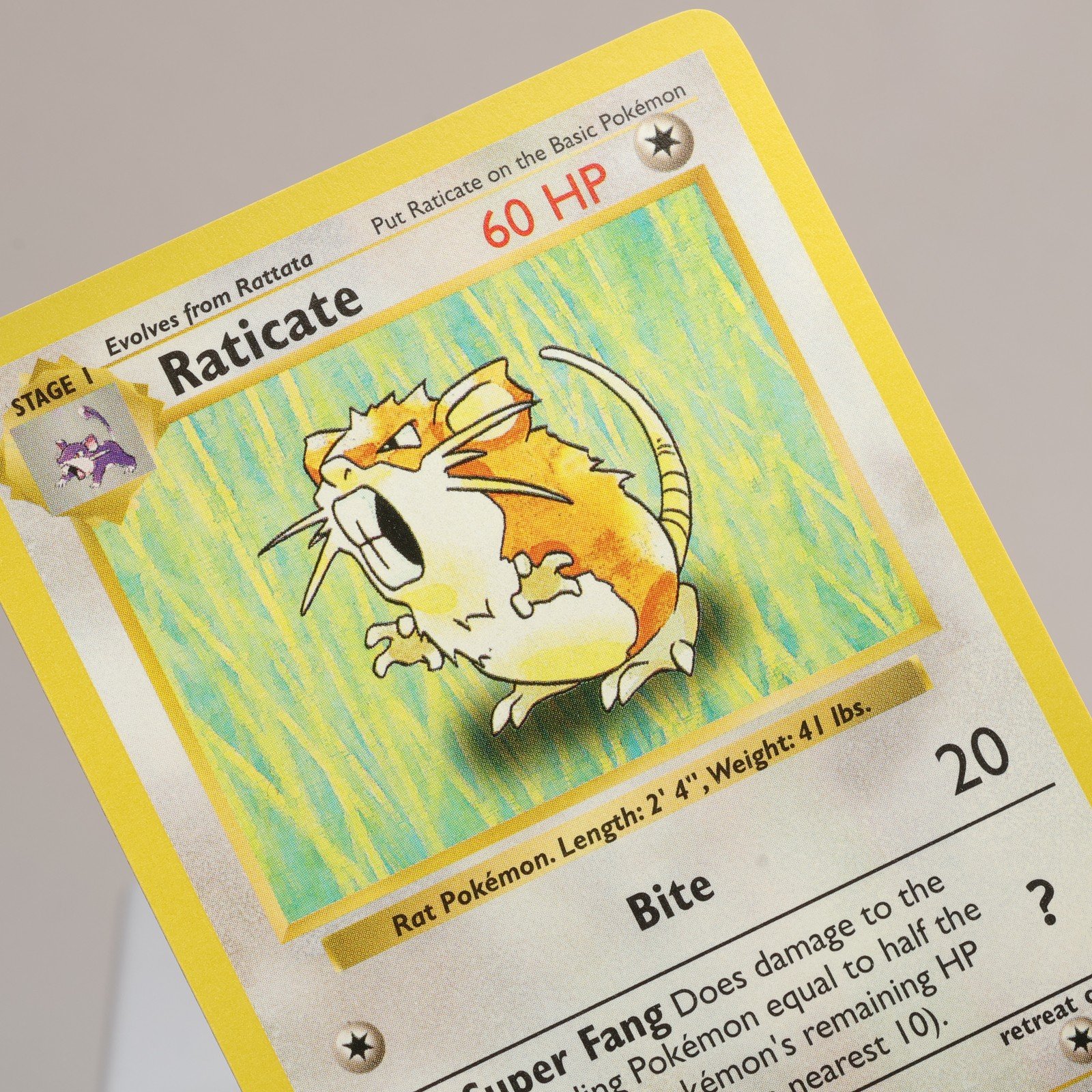 Pokemon TCG – Raticate 40/102 Base Set Uncommon Shadowless WOTC 1999 – NM