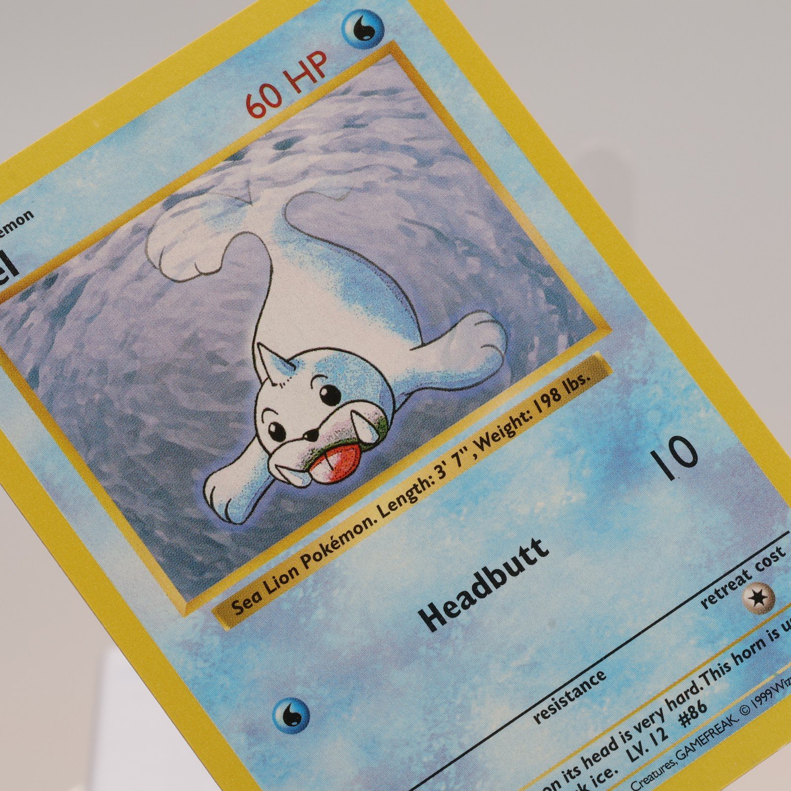 Pokemon TCG – Seel 41/102 Base Set Uncommon Shadowless WOTC 1999 – NM/EXC