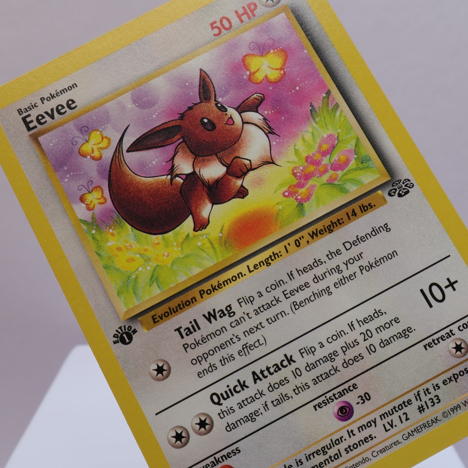 Pokemon TCG – Eevee 51/64 Jungle Common 1st Edition WOTC 1999 – EXC/NM