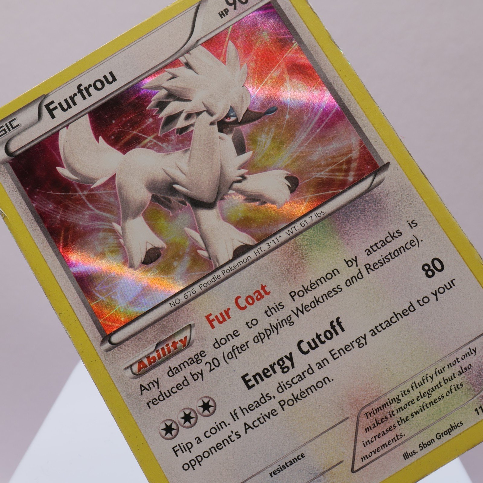 Pokemon TCG – Furfrou 114/146 XY Holo Rare  WOTC – HP