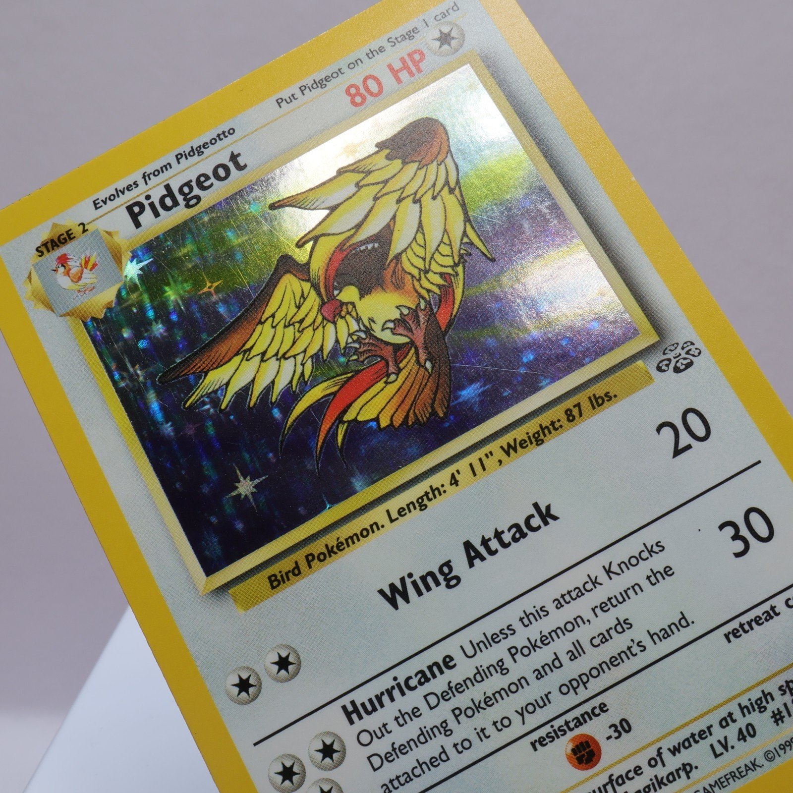 Pokemon TCG – Pidgeot 8/64 Jungle Holo Rare  WOTC 1999 – EXC/NM