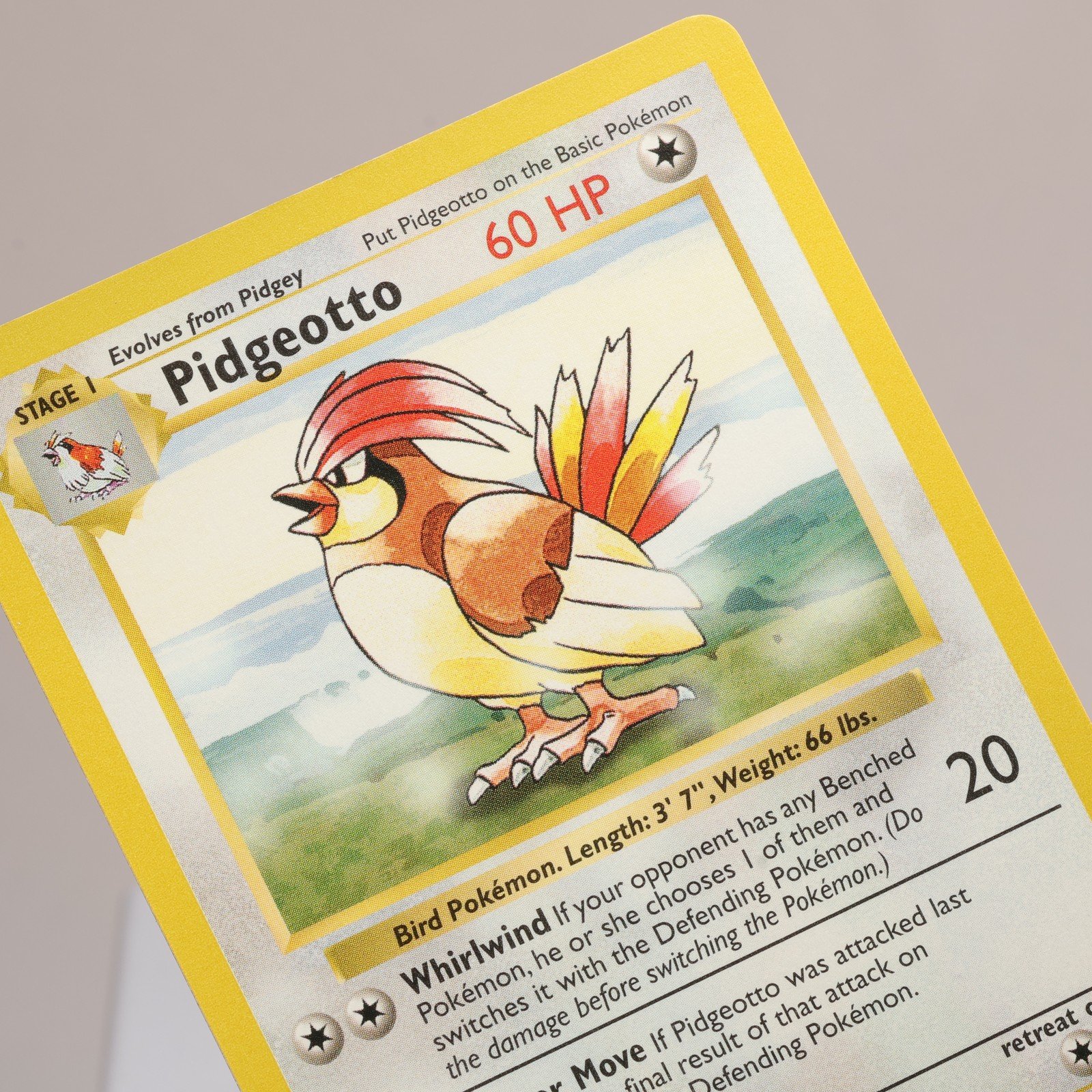 Pokemon TCG Pidgeotto 22102 Base Set Rare Shadowless WOTC 1999 NM 168006227378