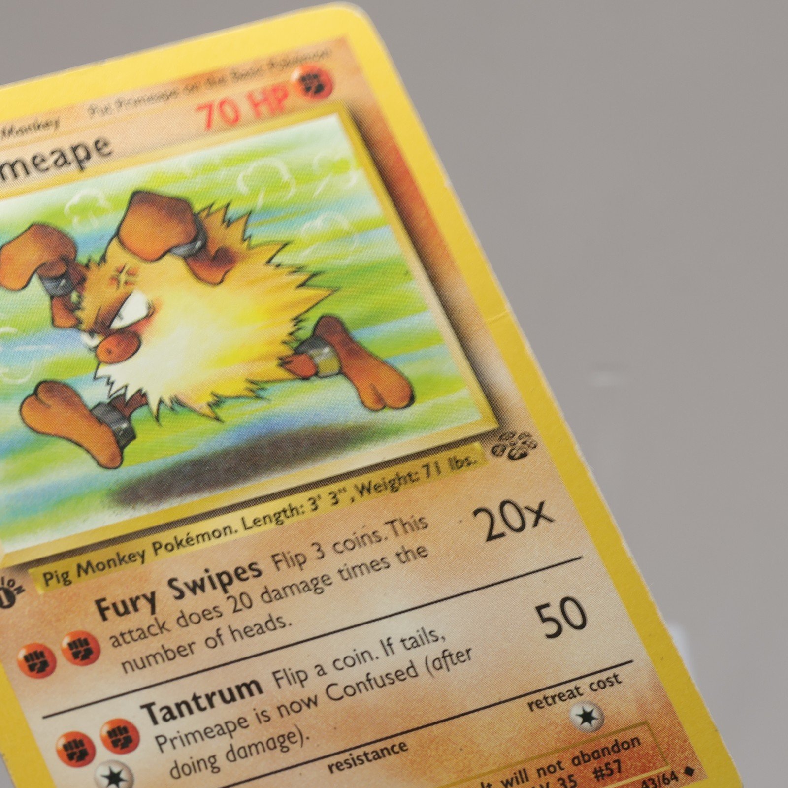 Pokemon TCG Primeape 4364 Jungle Uncommon 1st Edition WOTC 1999 HP 167974214028 4