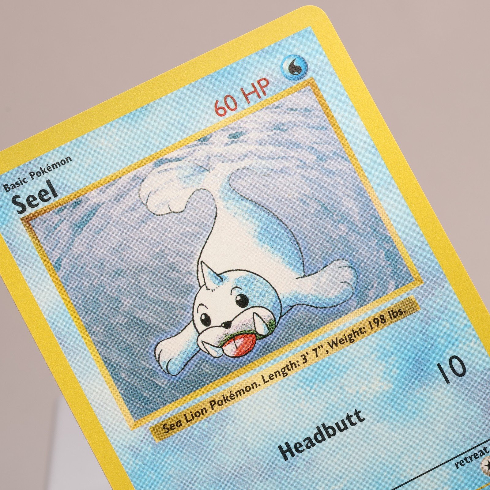 Pokemon TCG – Seel 41/102 Base Set Uncommon Shadowless WOTC 1999 – EXC/NM