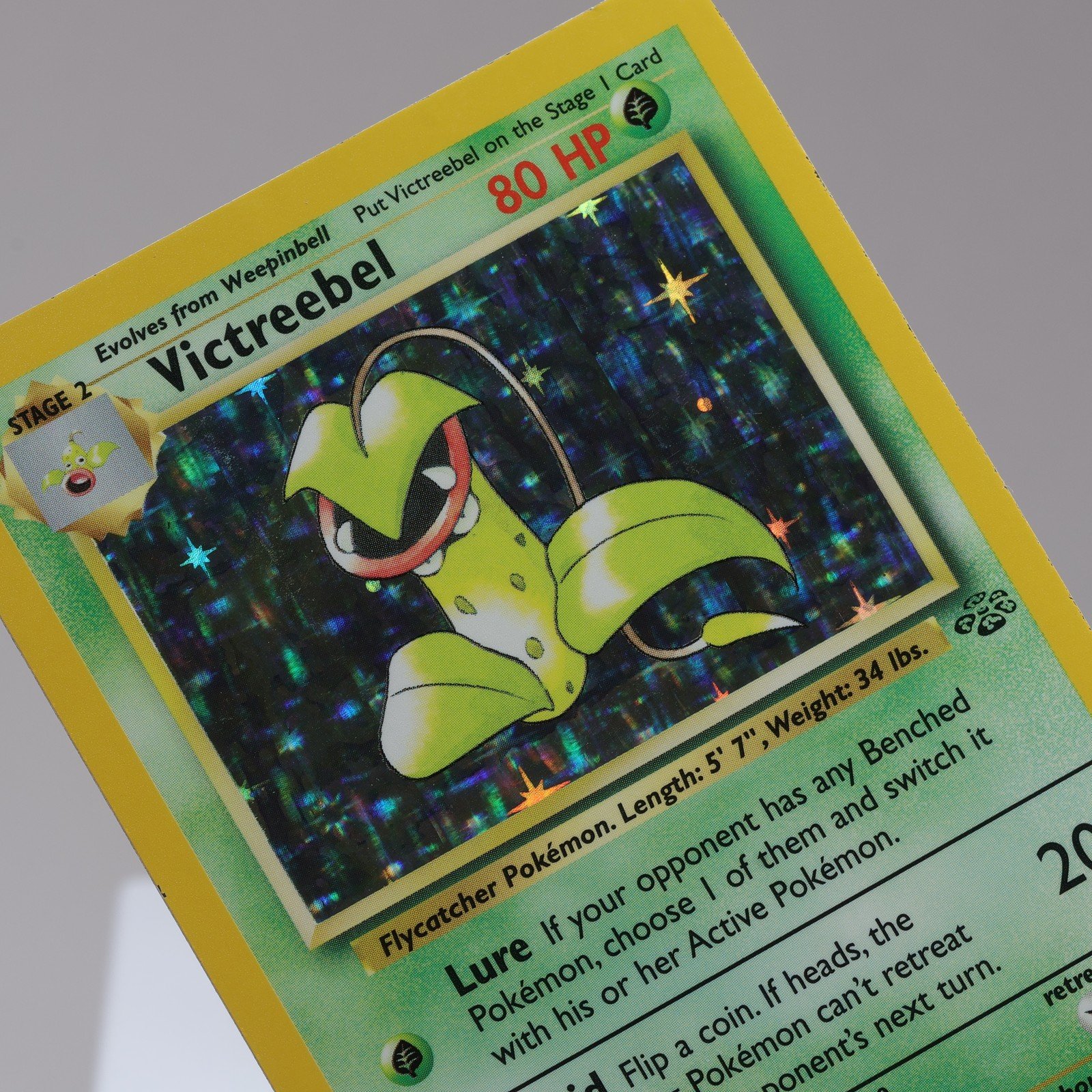 Pokemon TCG Victreebel 1464 Jungle Holo Rare WOTC 1999 NM 167950659108
