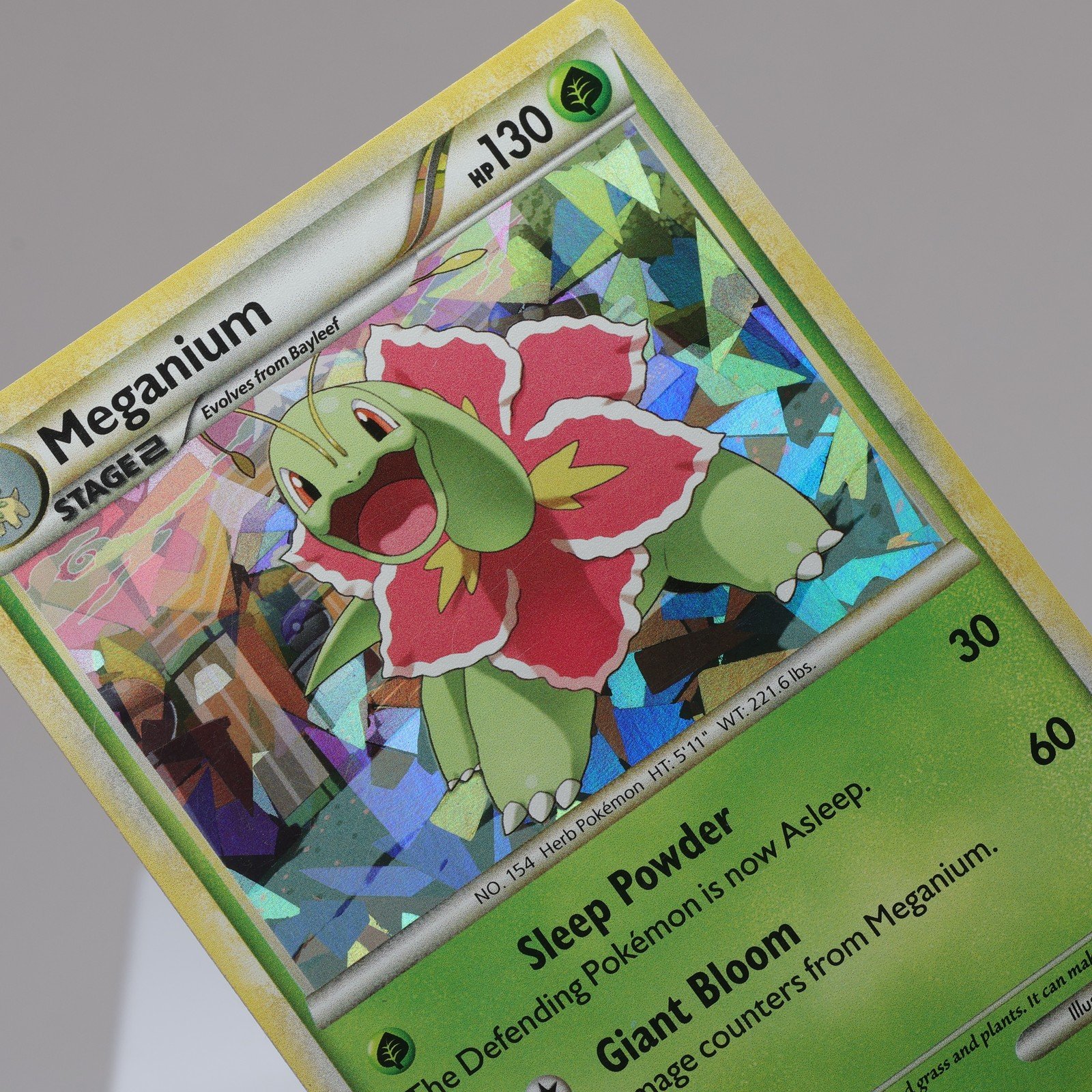 Pokemon TCG Meganium 26123 HeartGold SoulSilver Rare EXC Indent 167965977939