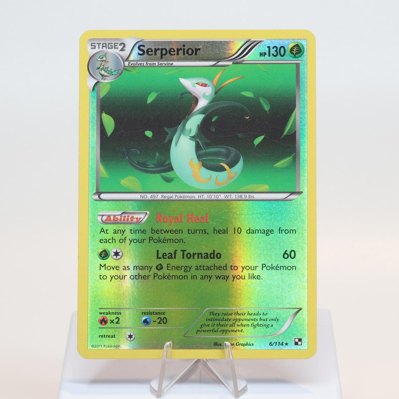 Pokemon TCG Serperior 6114 Black White Holo Rare Rev Holo WOTC EXC 168232466139 2