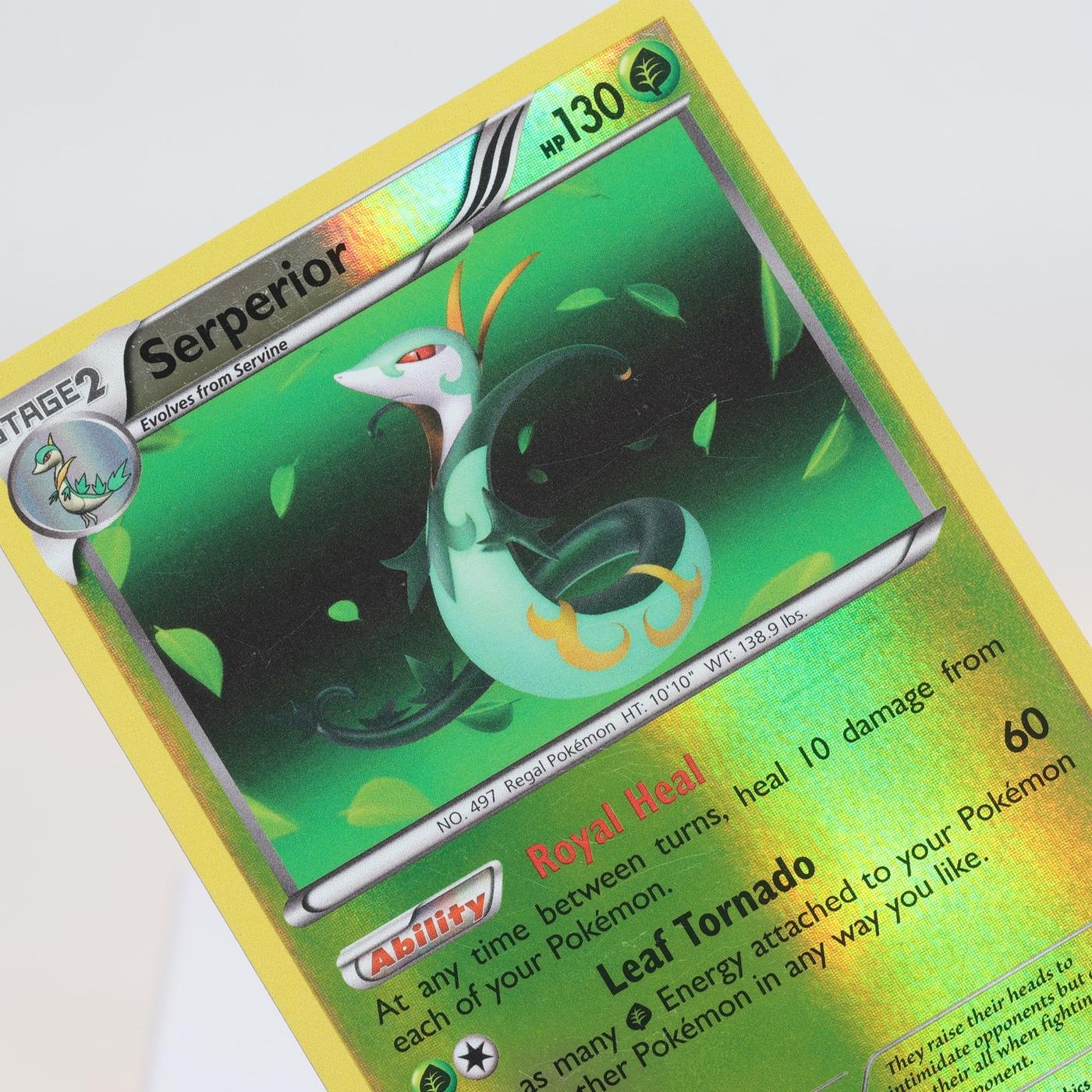 Pokemon TCG Serperior 6114 Black White Holo Rare Rev Holo WOTC EXC 168232466139