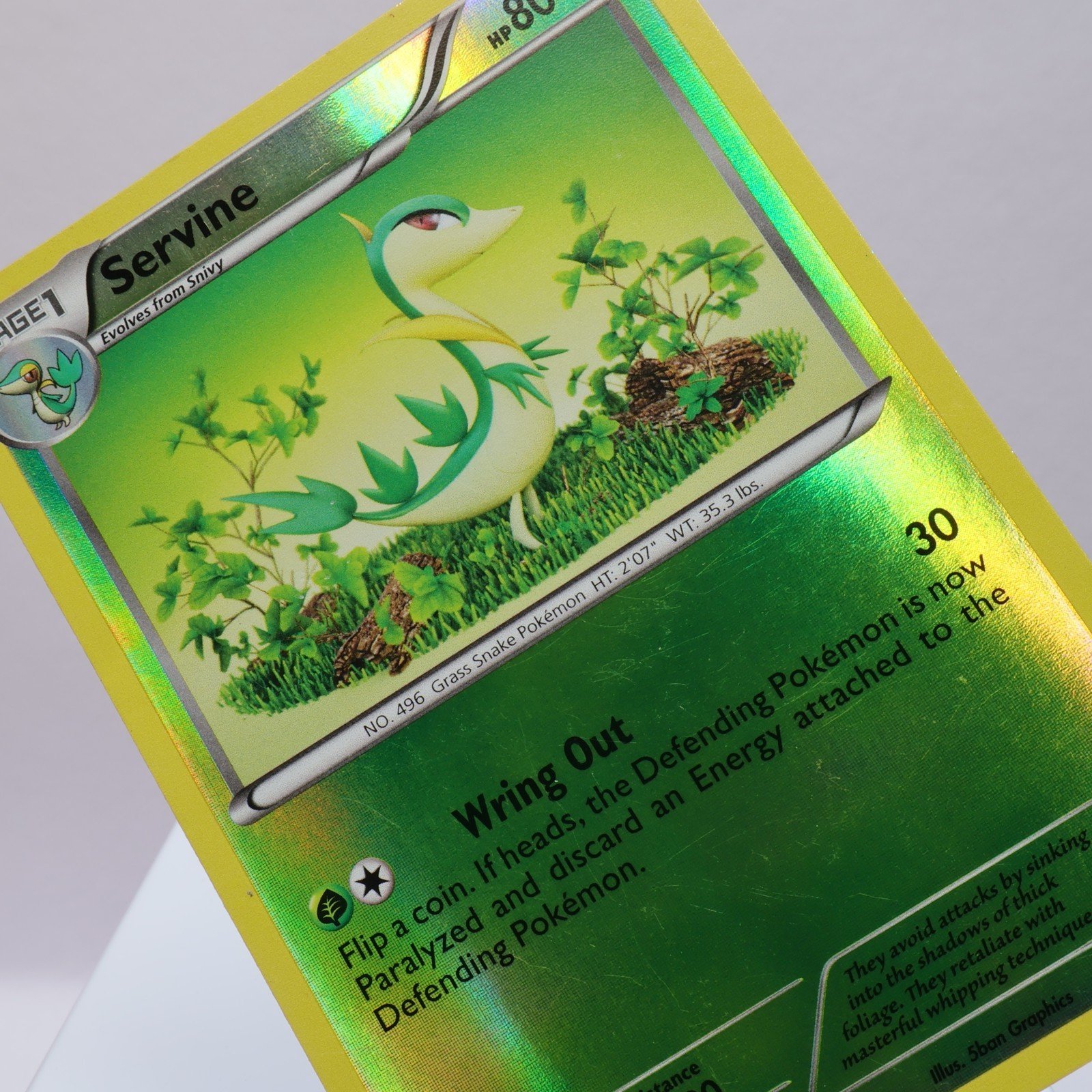 Pokemon TCG – Servine 4/114 Black & White Uncommon Rev Holo  – LP