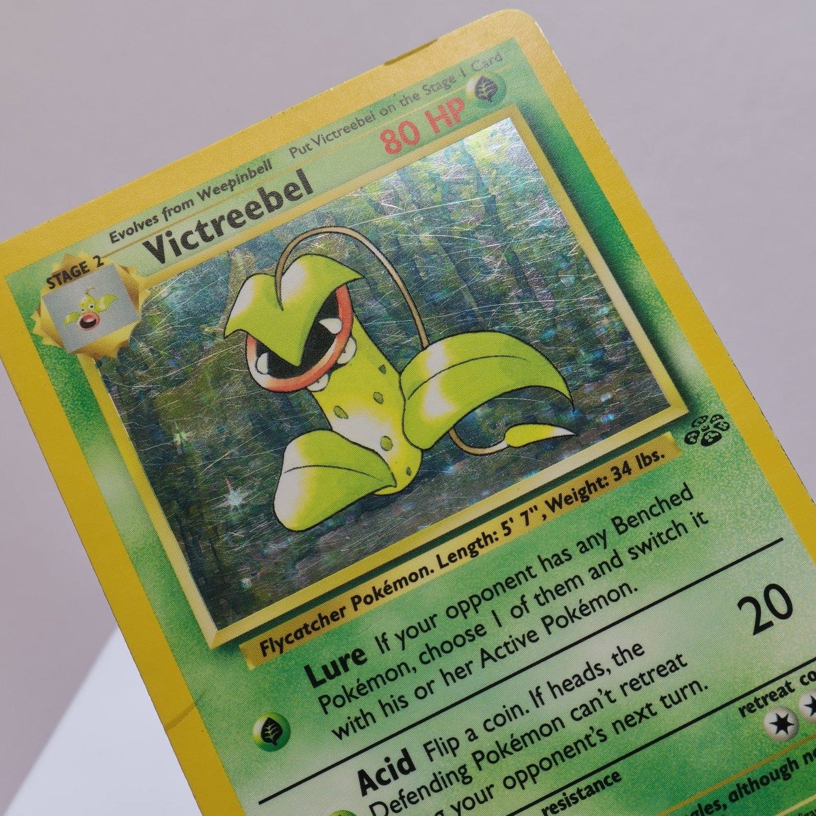 Pokemon TCG Victreebel 1464 Jungle Holo Rare WOTC 1999 HP 167830364469